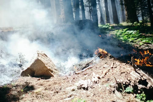 Departments Battle Noble County Brush Fire