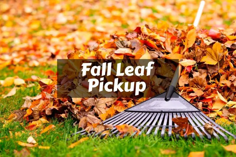 Barnesville Leaf Collection Underway