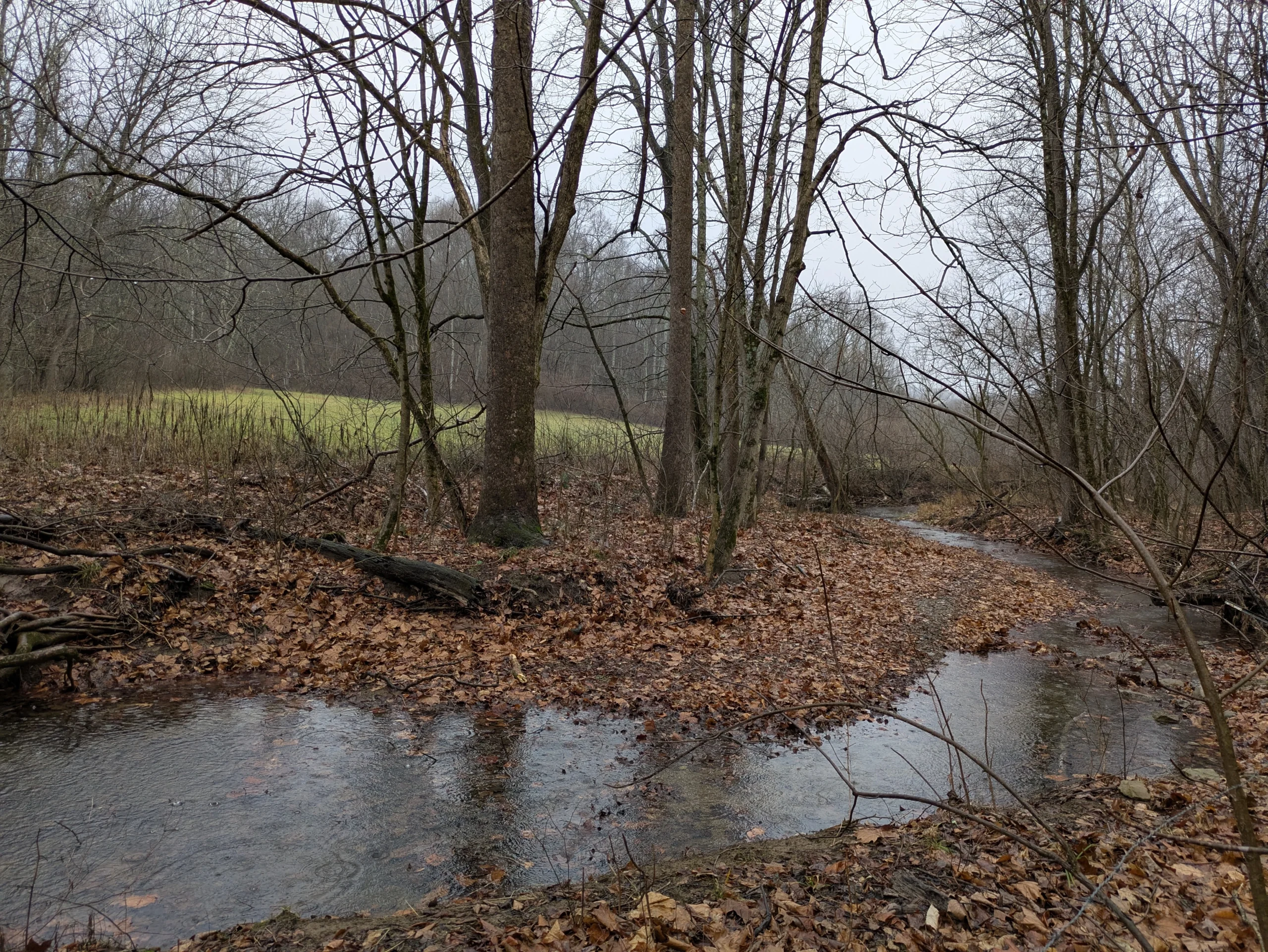 Farmland Conservation Easement Donated