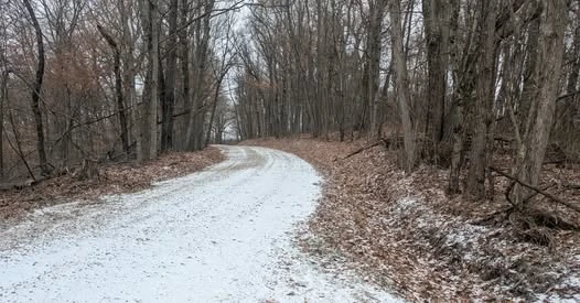 Dysart Woods Hike Launches First Sunday Walks