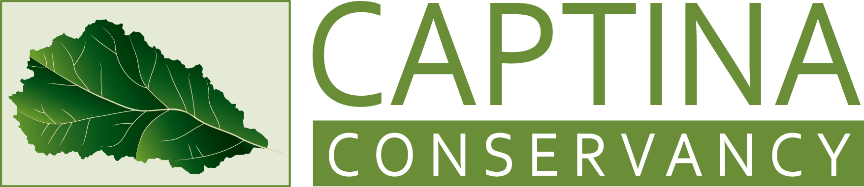 Captina Conservancy Euchre Tournament