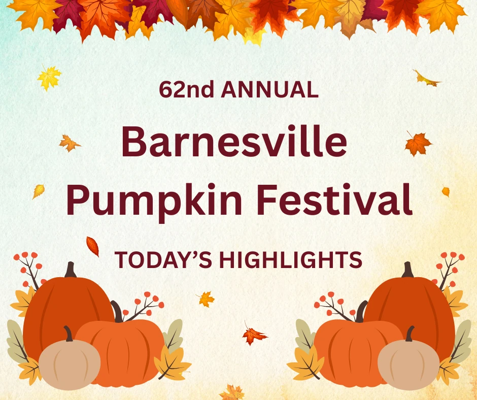Pumpkin Daily Delights: Wednesday