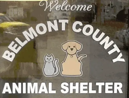 Belmont County Animal Shelter Fundraiser