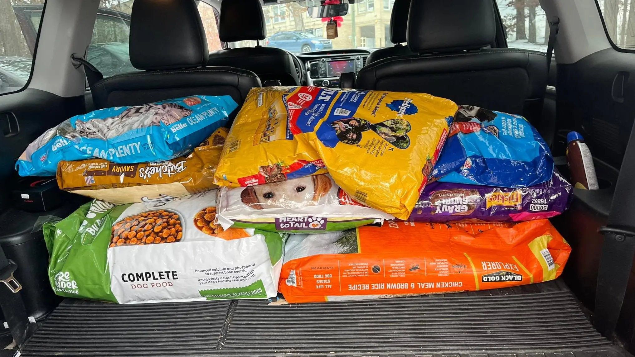 Walton Home Animal Shelters Drive