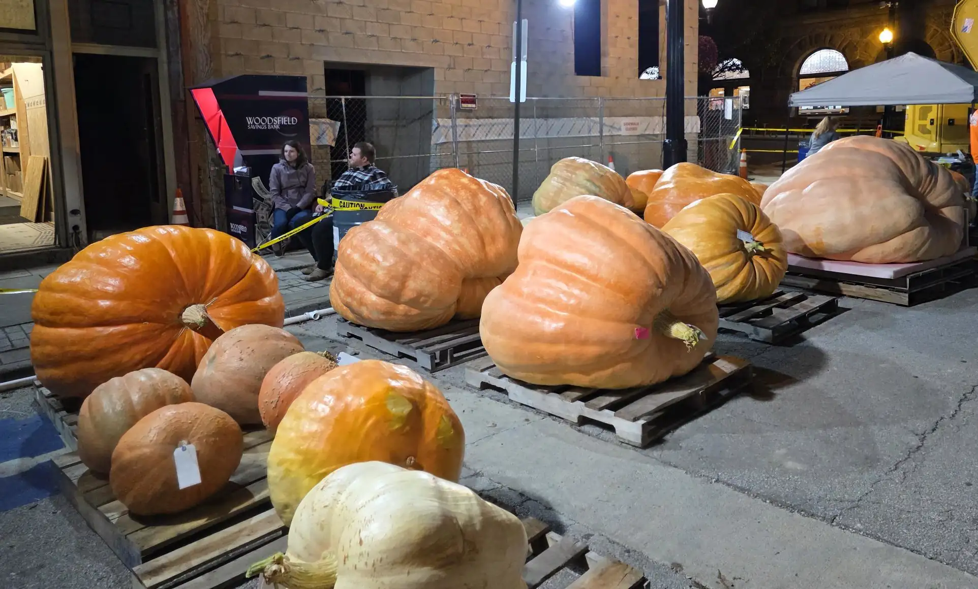 Tons and Tons of Pumpkins