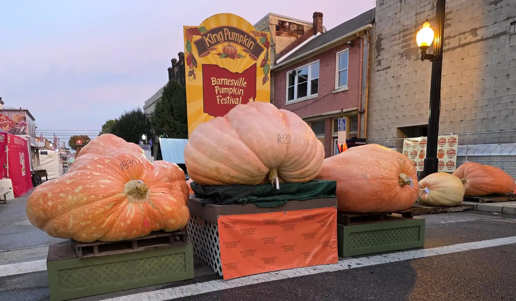 King Pumpkin Comes in at 1,837 Pounds