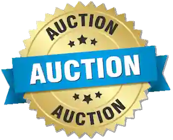 Benefit Auction will Support Two Injured Amish Men  