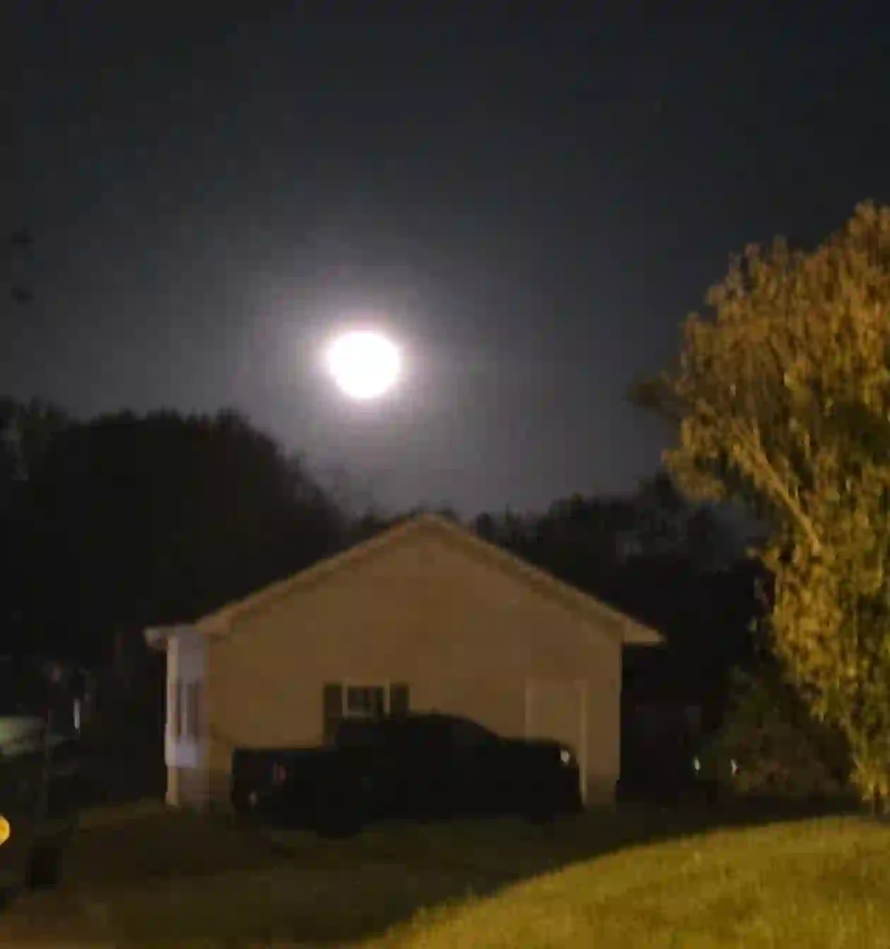 Moon Over Maple Avenue