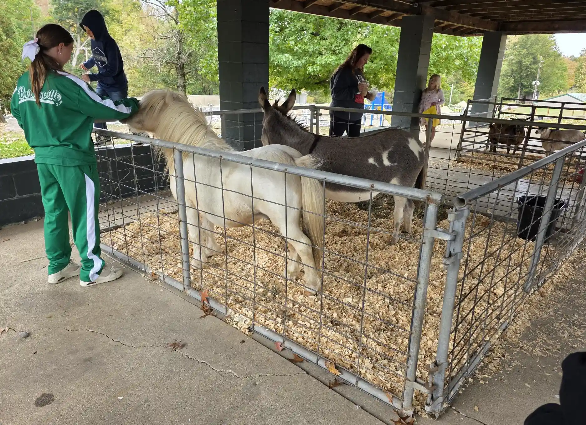 Farm Fun at Hoot N Holler